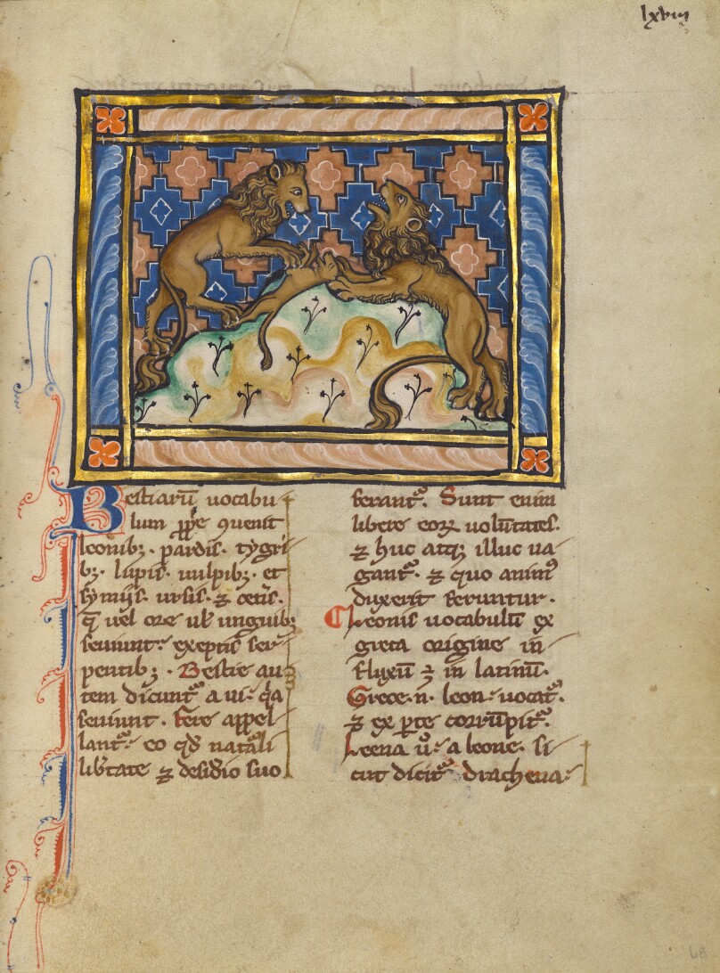 Two Lions