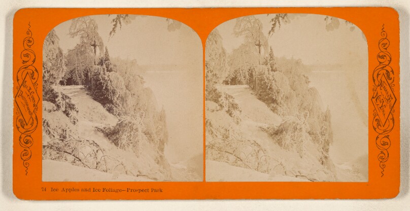 Ice Apples and Ice Foliage - Prospect Park [Niagara Falls, N.Y.]