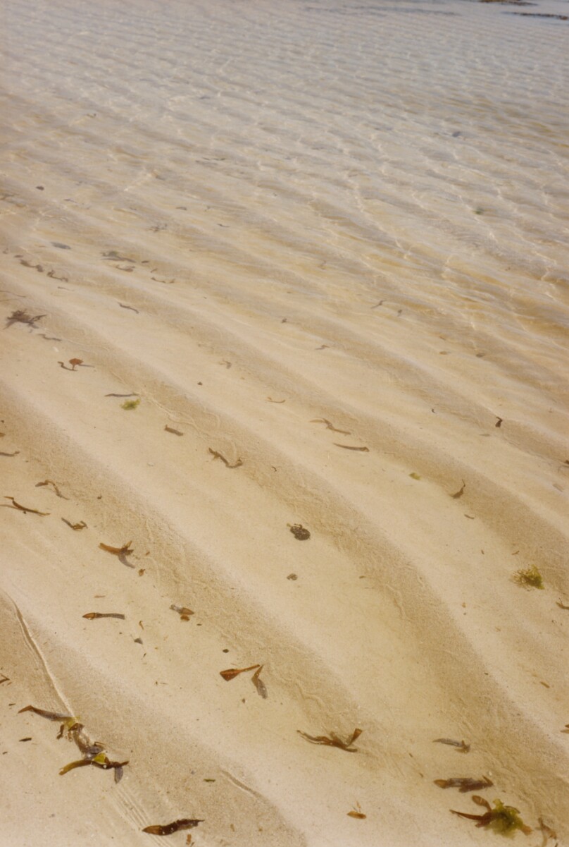 [Beach]