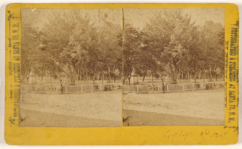 William Henry Brown
