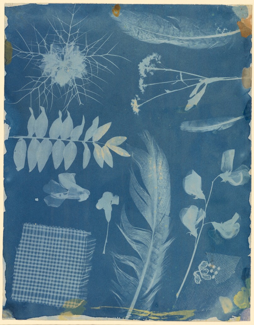 [Arrangement of Specimens]