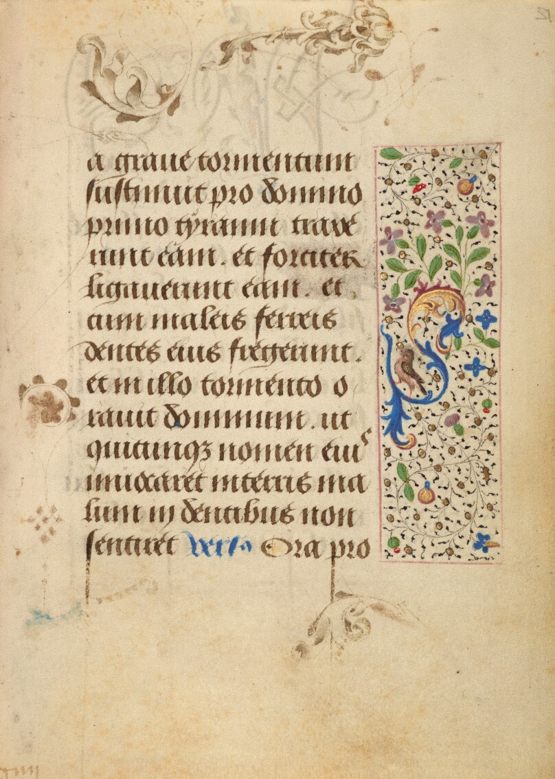 Decorated Text Page