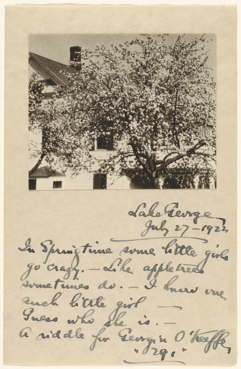 [Apple Blossoms]