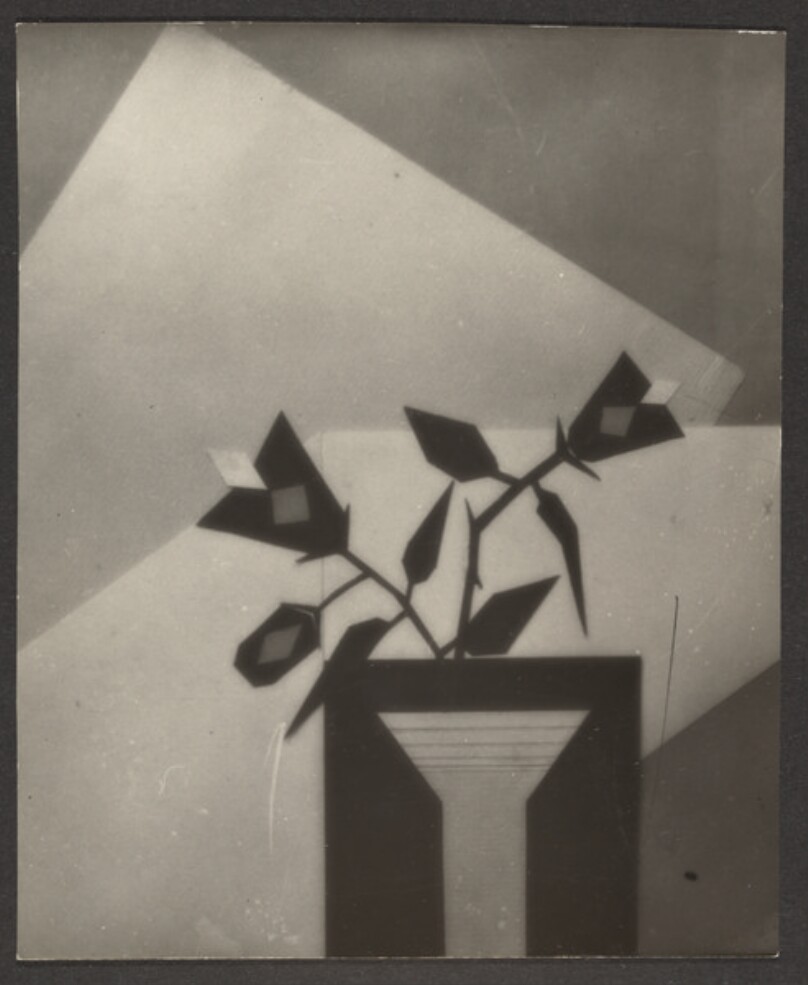 [Abstract floral collage]