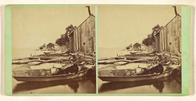 Shore View on Cayuga Lake. [New York]