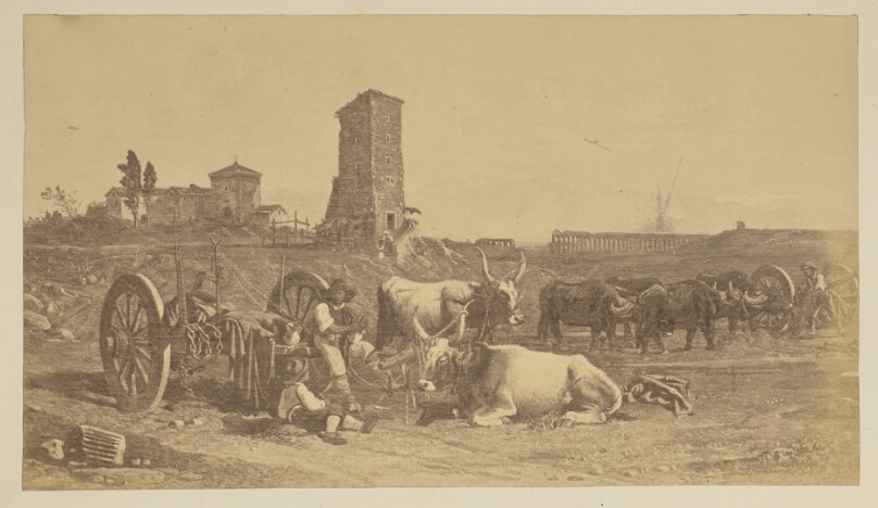 [Buffalo teams at rest]