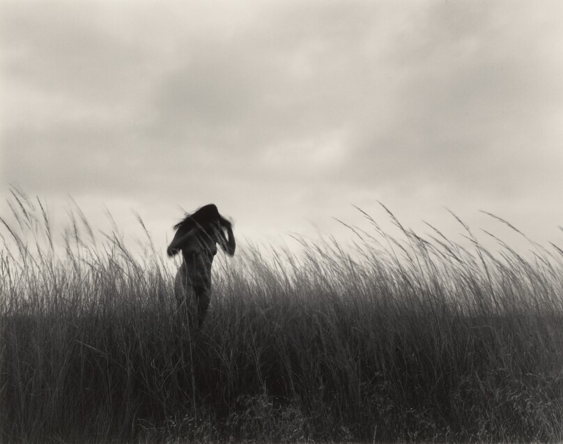 Self-Portrait in Grasses