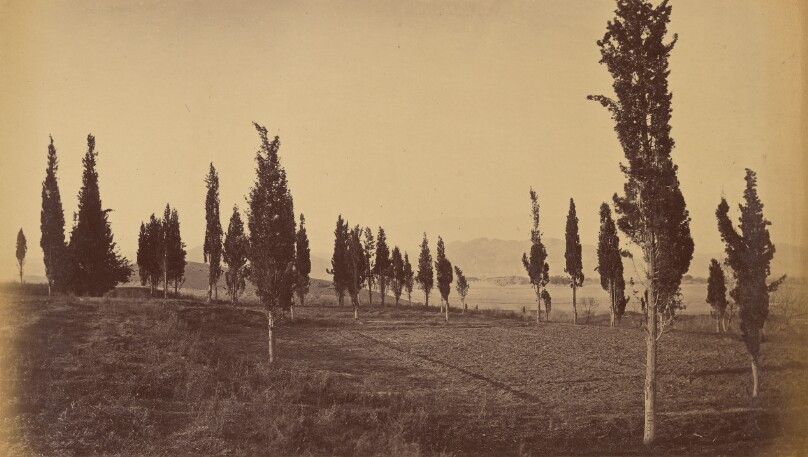 Bird's Eye View of Jellalabad, from the springs