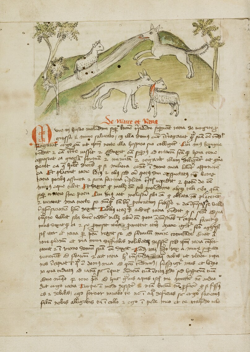 A Wolf Killing a Lamb