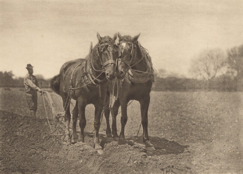 At Plough - The End of the Furrow