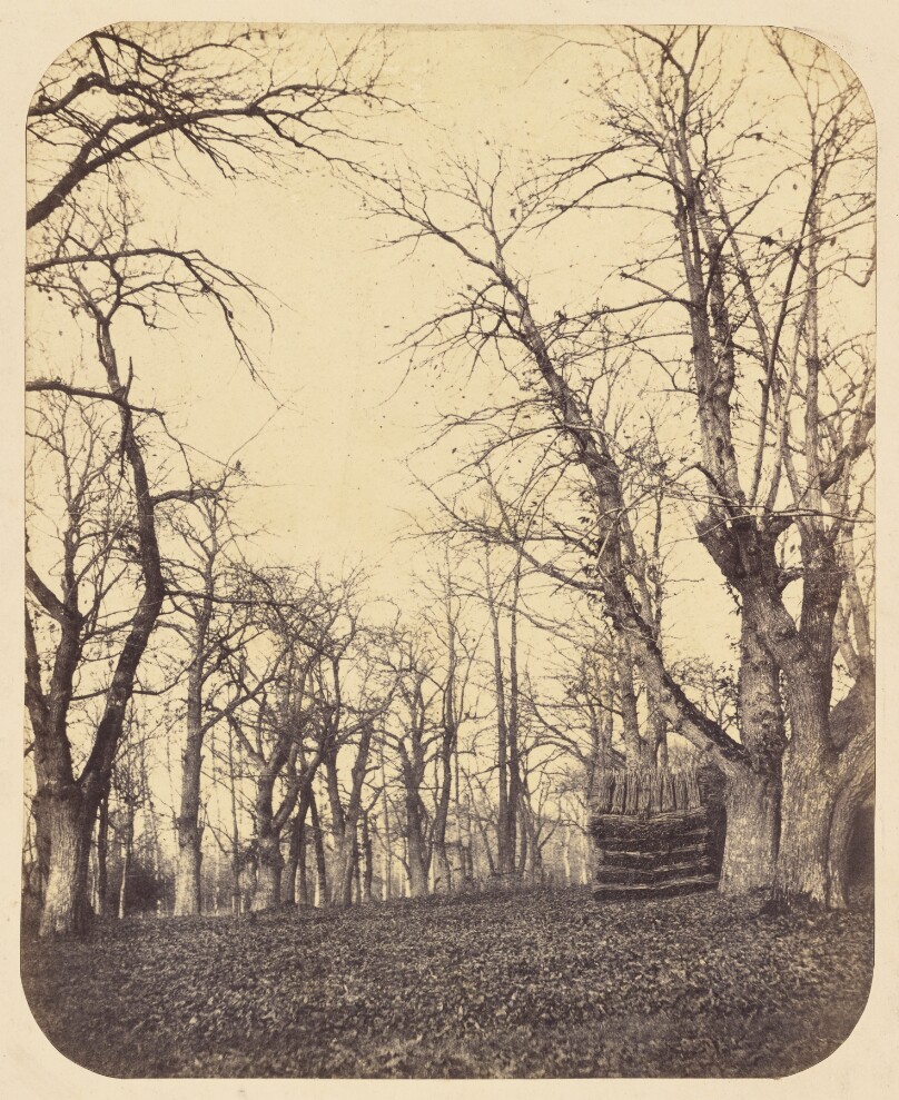 [Winter Landscape with Trees]
