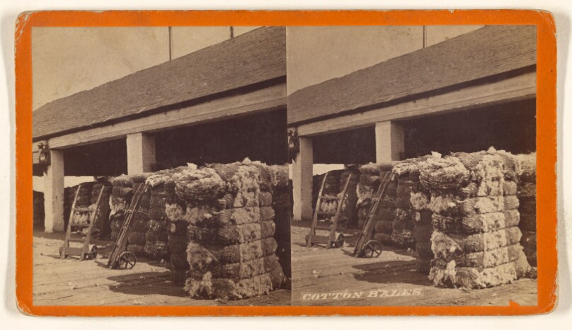 Cotton Bales