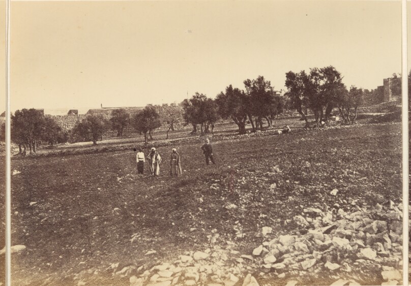 Panoramic View of the City: General View of the City &c. from the North