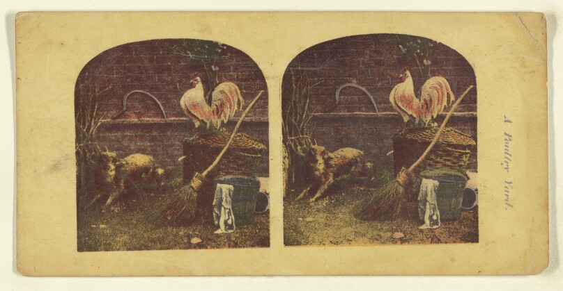A Poultry Yard.
