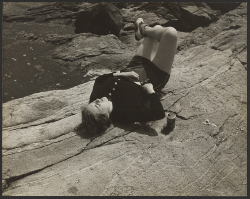 [Class Picnic]