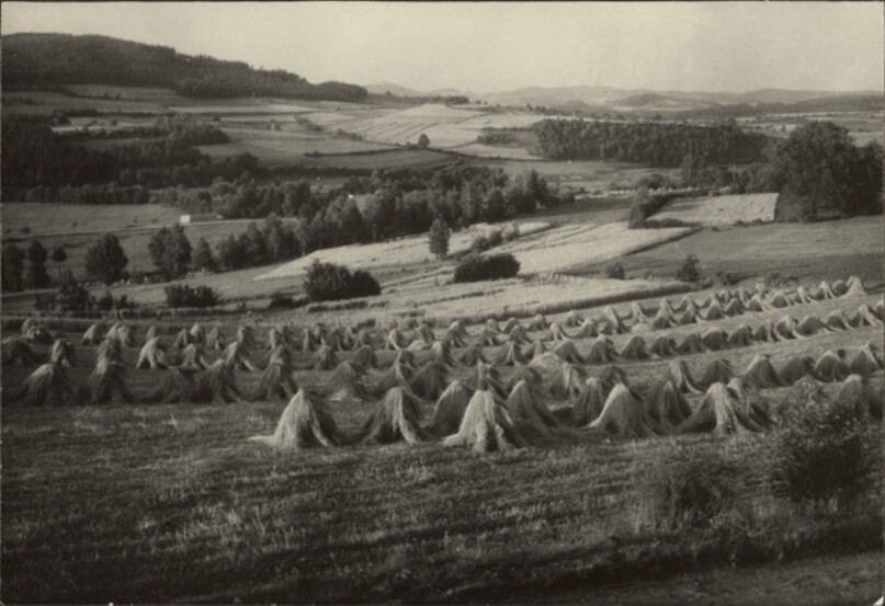 [Haystacks]