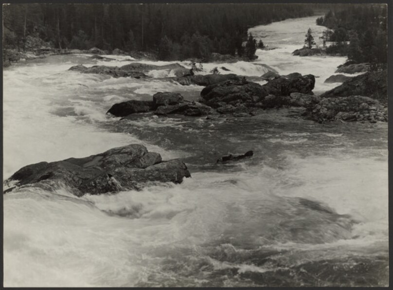 Norwegen Wildbach