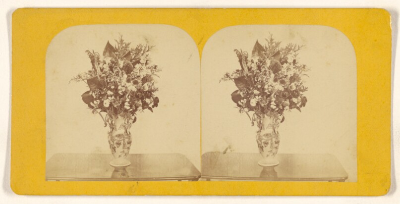 [Flower arrangement]