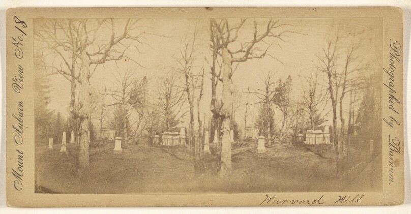 [Harvard Hill, Mount Auburn]
