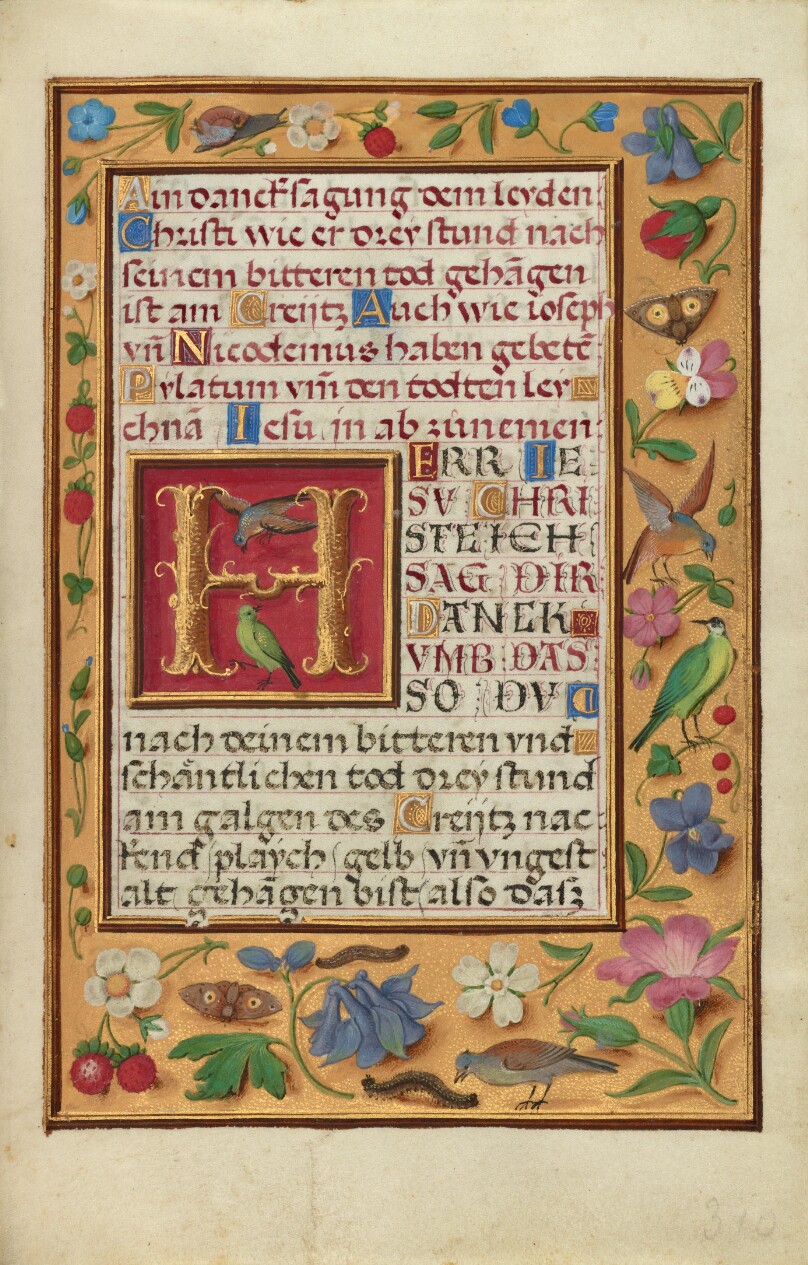 Decorated Text Page