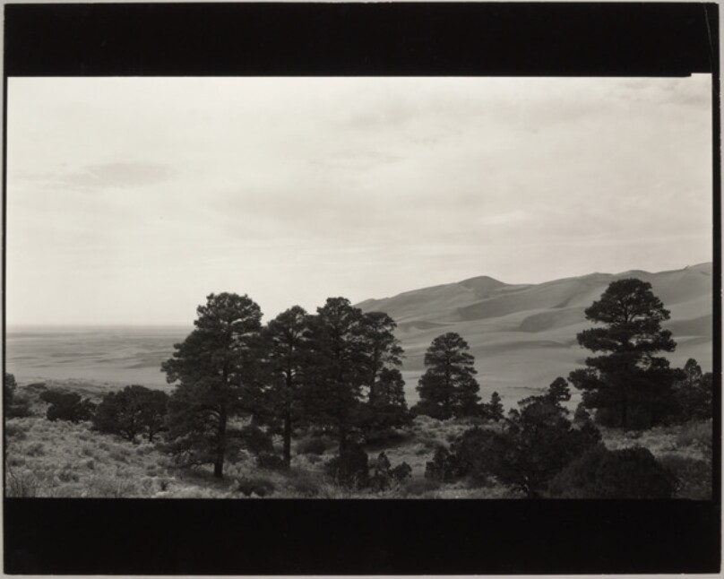 Colorado Landscape #8