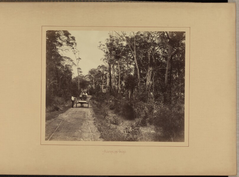 New South Wales Government Printing Office