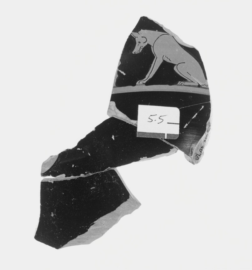 Attic Red-Figure Stamnoid Fragment (comprised of 4 Joined Fragments)