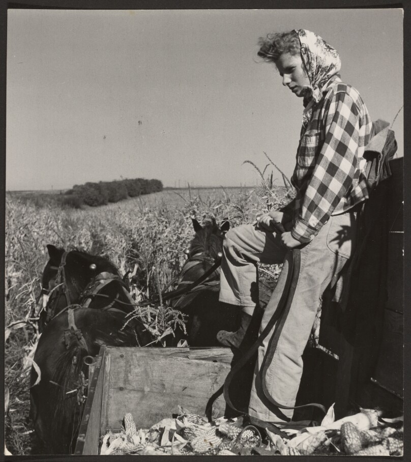 [Woman on Horse-Drawn Wagon, Rood Family, Wahoo, Nebraska]