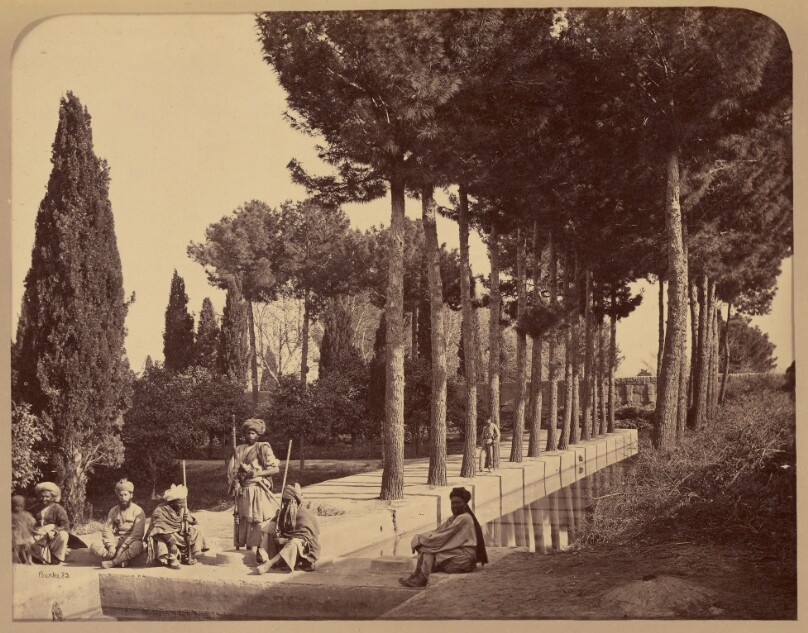View in the large Garden, Jellalabad