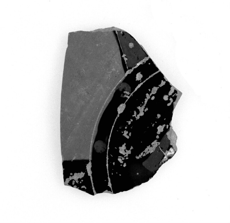 Attic Panathenaic Amphora Fragment
