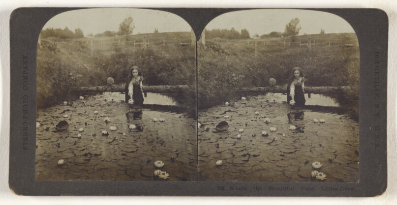 Where the Beautiful Pond Lillies [sic] Grow