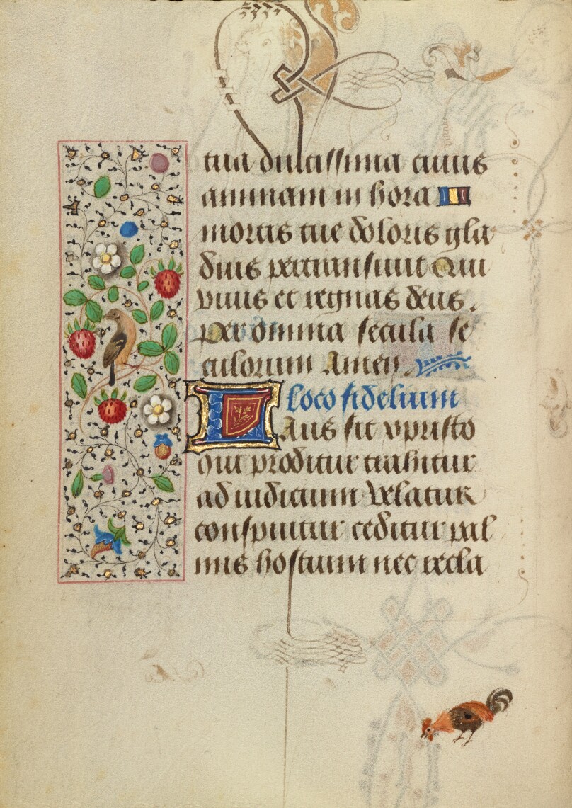Decorated Text Page