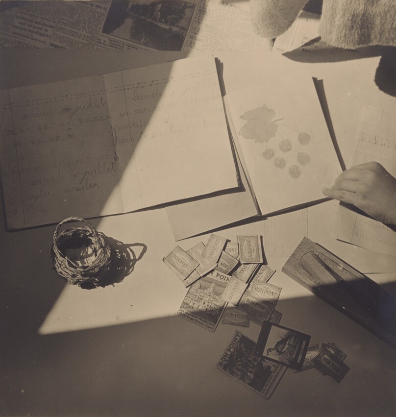 Still Life