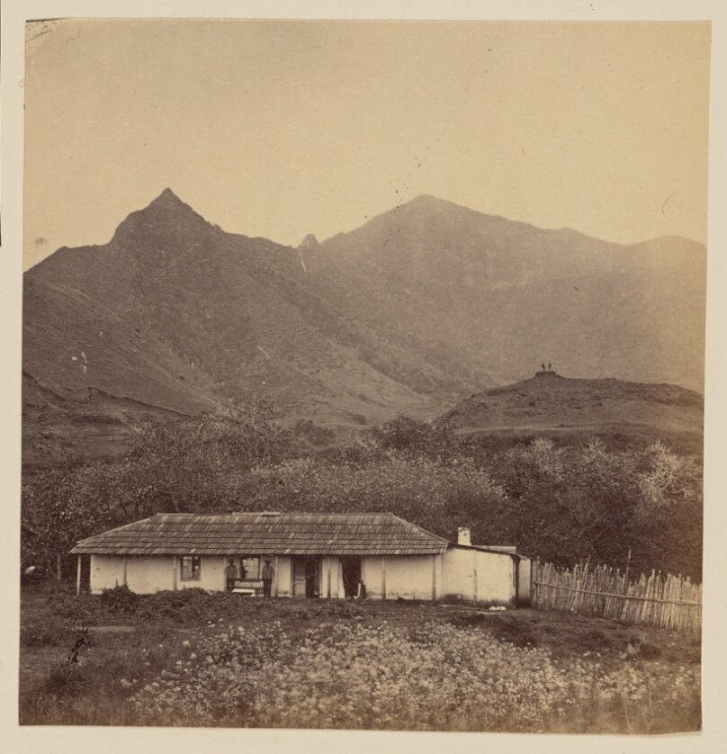 Scenes in the Island of Juan Fernandez