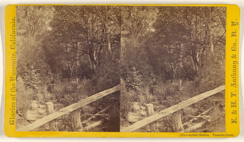 Artistic Studies. Yosemite Creek.
