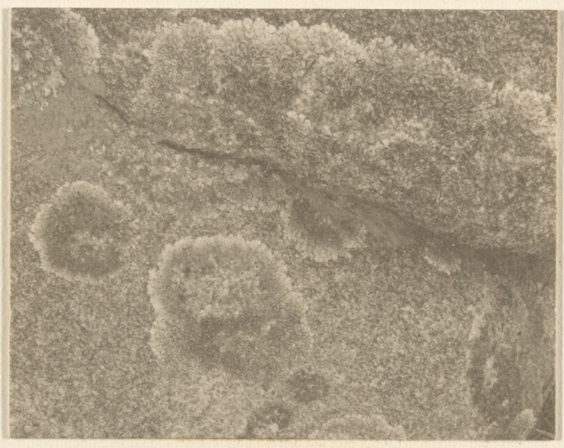 [Untitled Landscape]