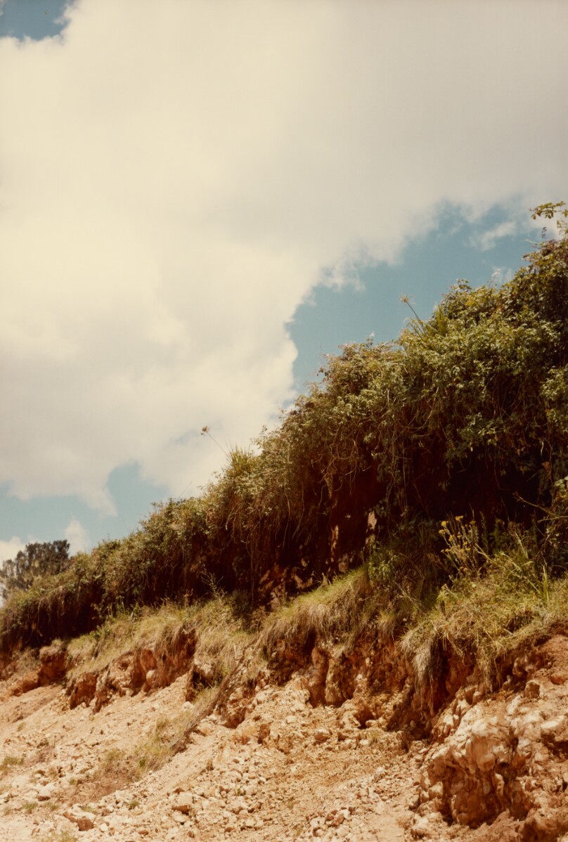 [Landscape]