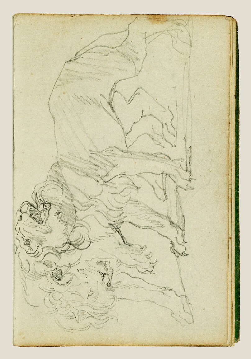 Pair of lions
