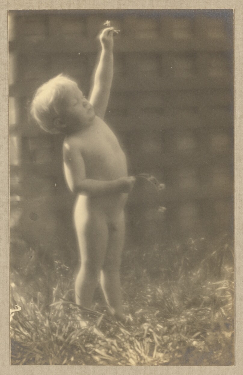 [Brett Weston, nude, reaching up with flower, trellis behind him]