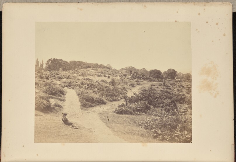 Hampstead Heath