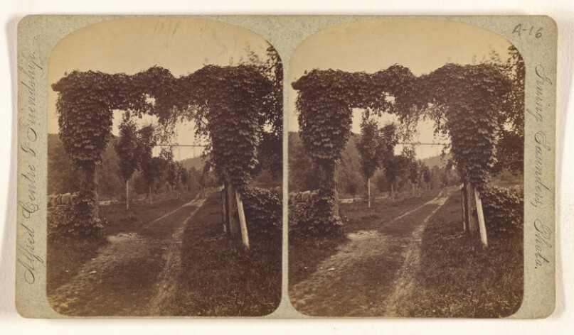 [Restage (?), N.Y., looking up from Letchworth's]