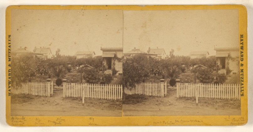 [View of garden of a home, Santa Barbara, California]