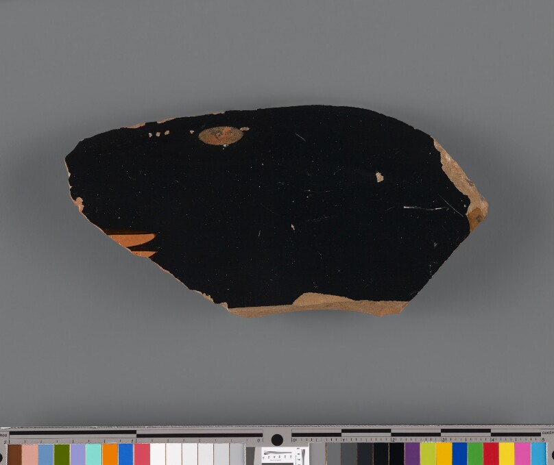 Attic Red-Figure Hydria Fragment