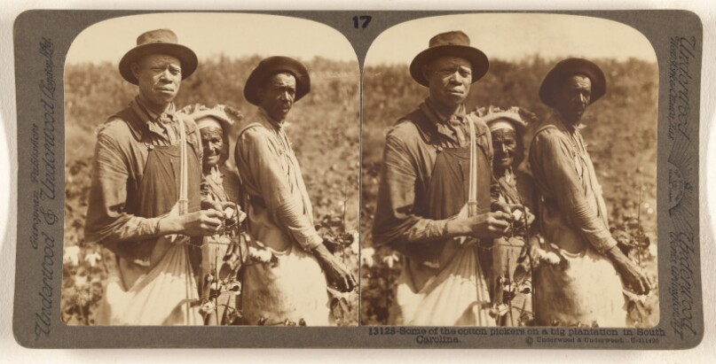 Some of the cotton pickers on a big plantation in South Carolina.