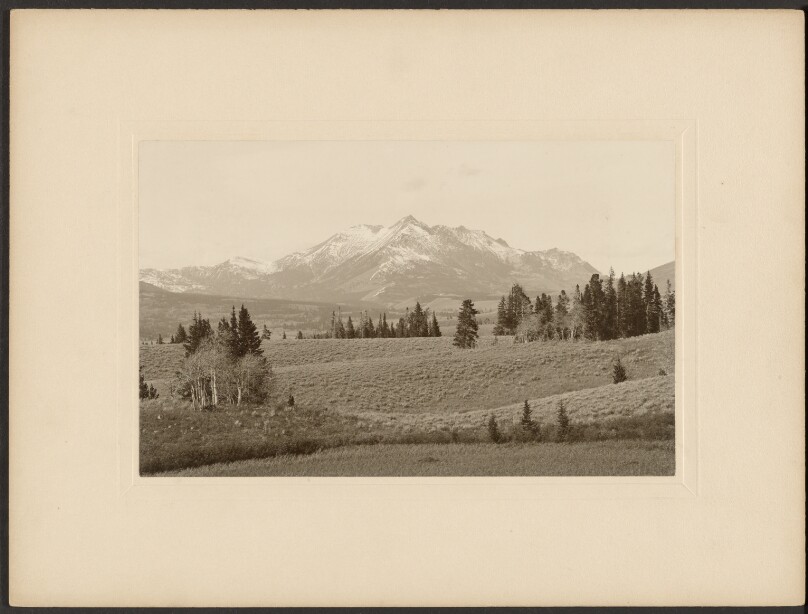 Electric Peak