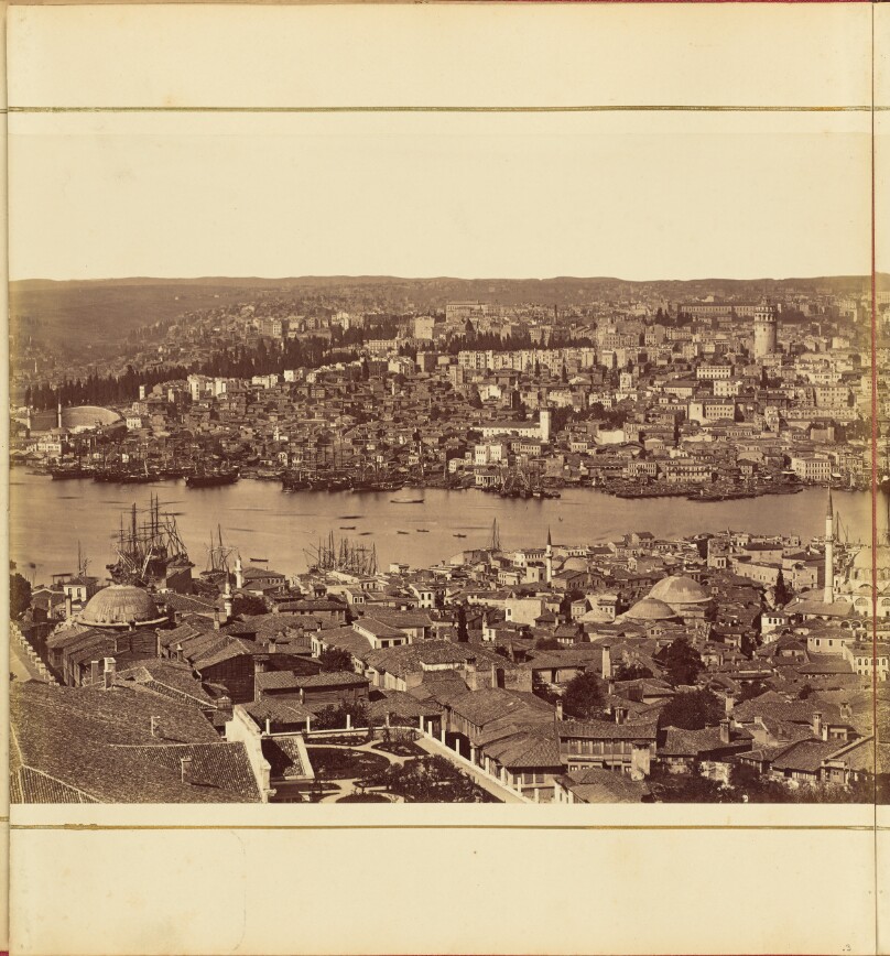 [Plate 3]