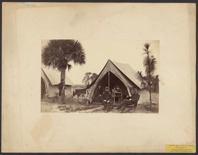 Palmetto Tree, New Hampshire 3rd Regiment, Hilton Head, South Carolina