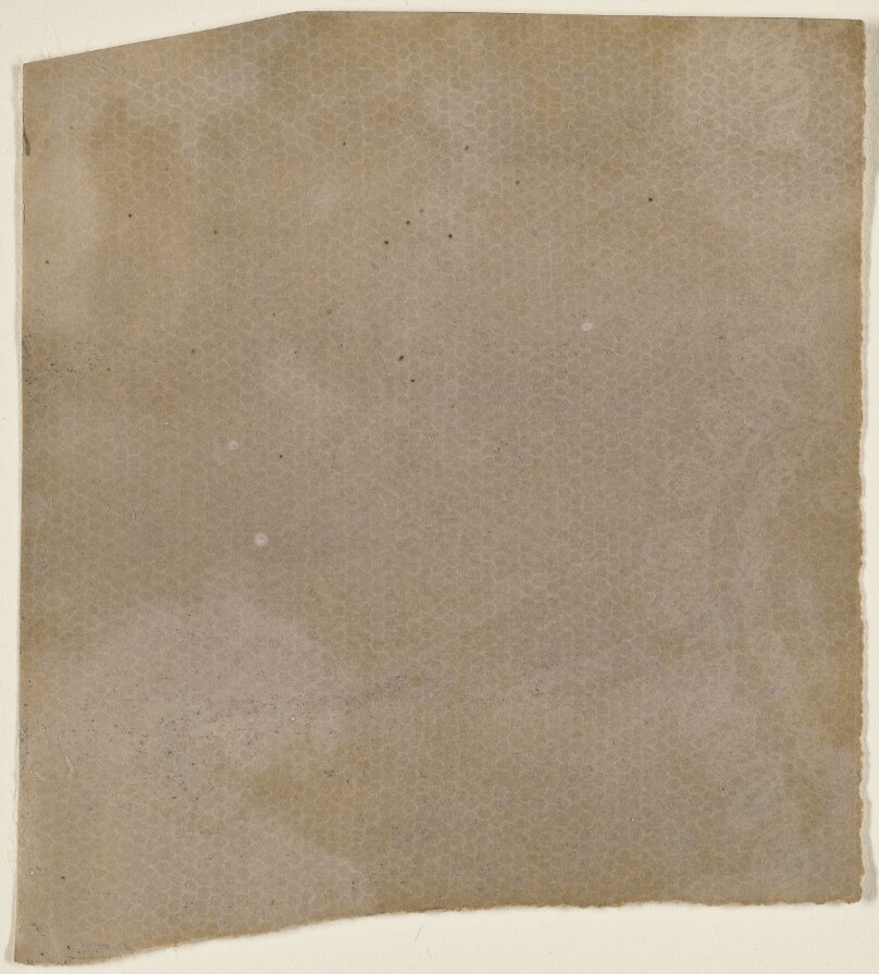 [Lace - A Test of Sunlight Exposure]