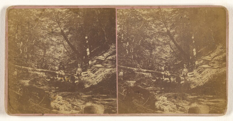 In the Ravine, above Lower Fall. [Ensenore Glen, N.Y.]