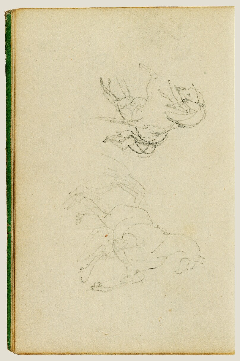 Two studies of a rearing horse